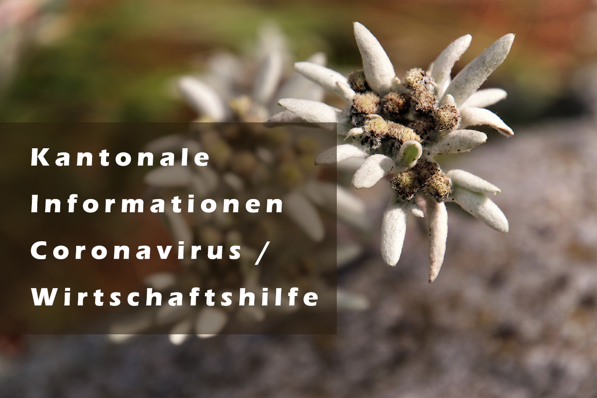 edelweiss